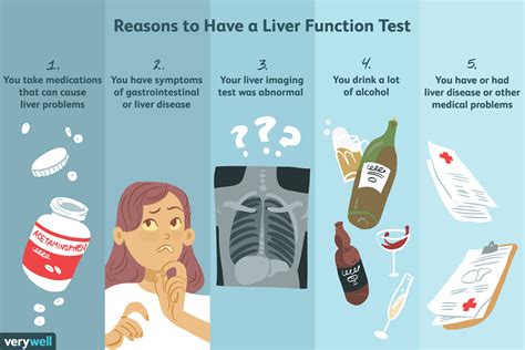 how to test to see if liver is hard|tests to check liver function.